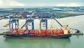 viet-nam-will-have-296-seaports-61.jpg